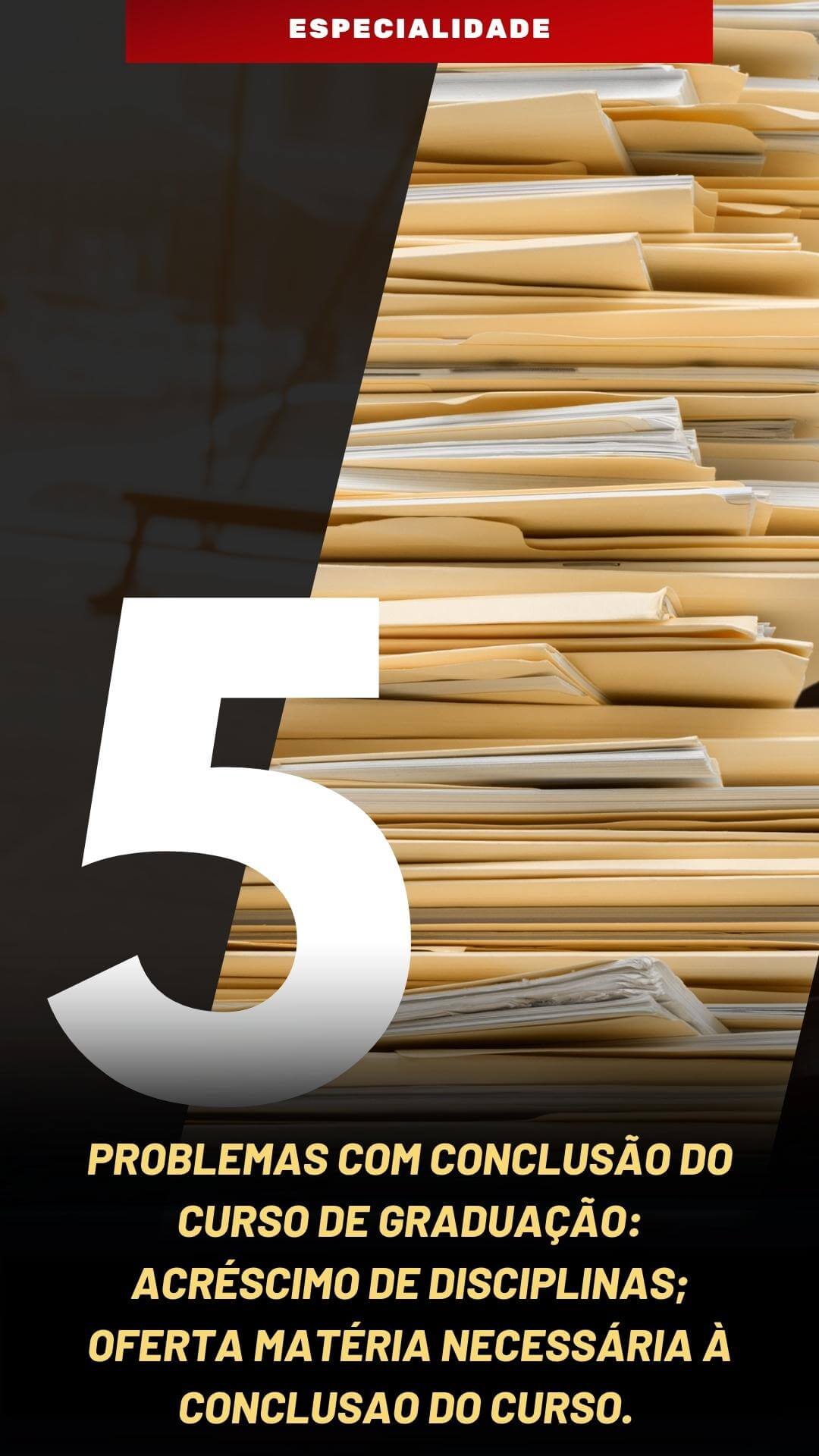 5 (1)