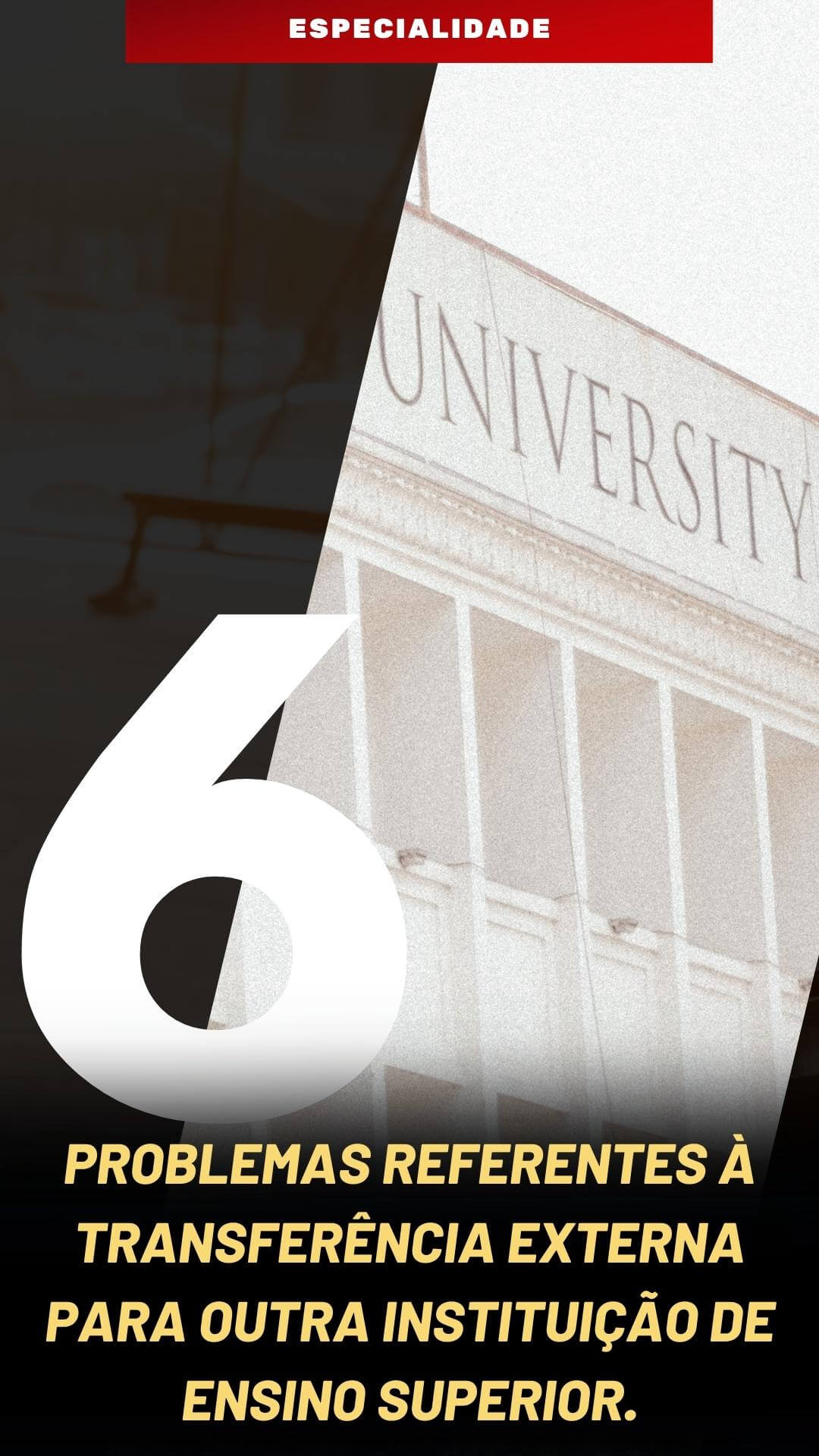 6 (1)